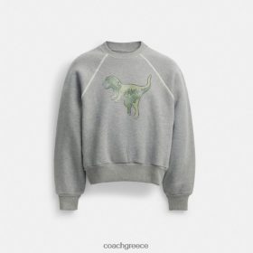 Coach γυναίκες φούτερ rexy crewneck γκρί LBZ422483 Coach Παπουτσια