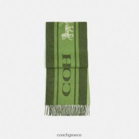 Coach γυναίκες σιγαστήρας κασμίρι σπορ varsity amazon green LBZ422583 Coach Greece